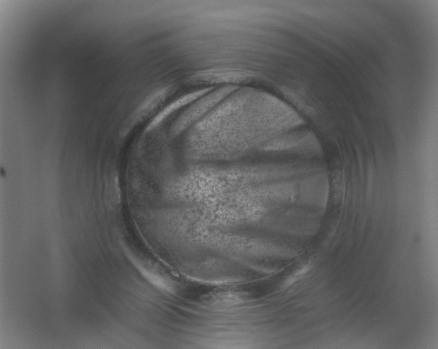 X0000062130254200512231446