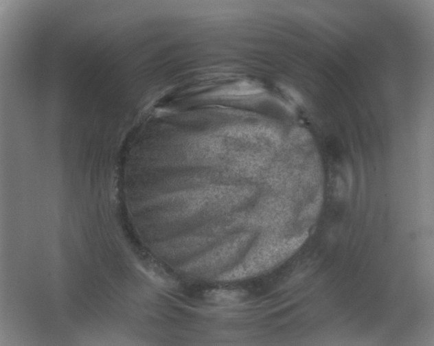 X0000062130255200512231446