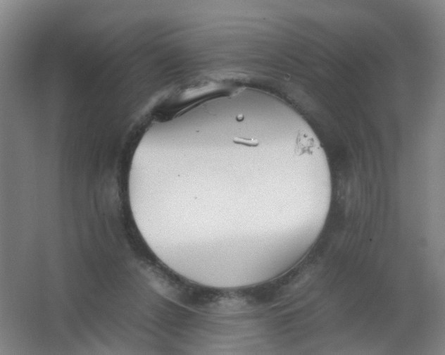 X0000062130256200512231446