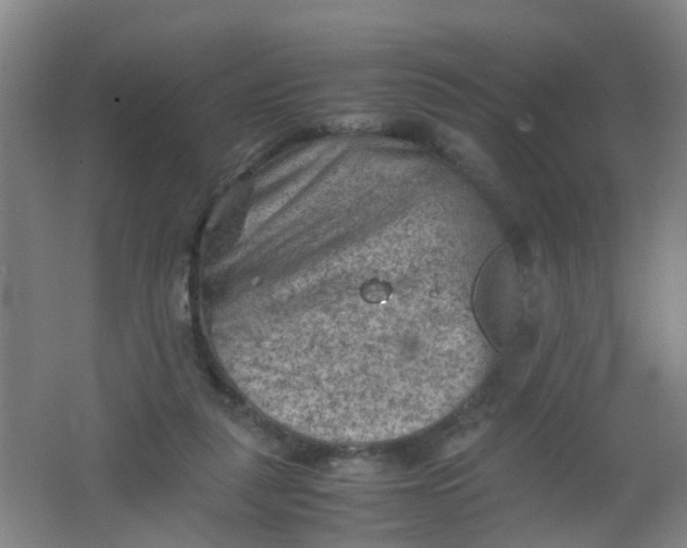 X0000062130259200512231446