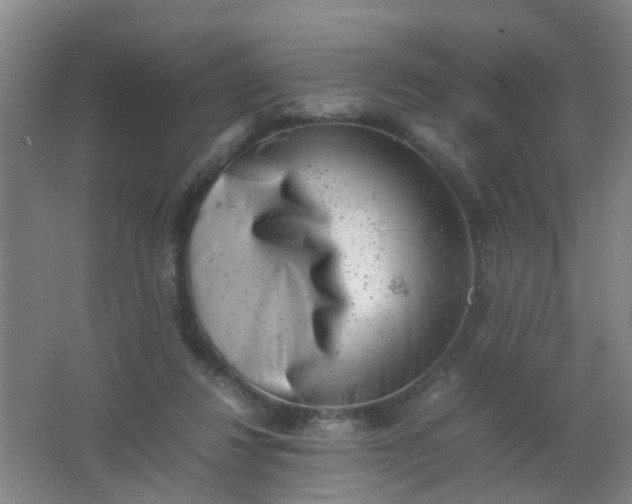 X0000062130260200512231446