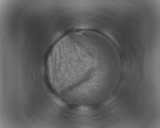 X0000062130261200512231446