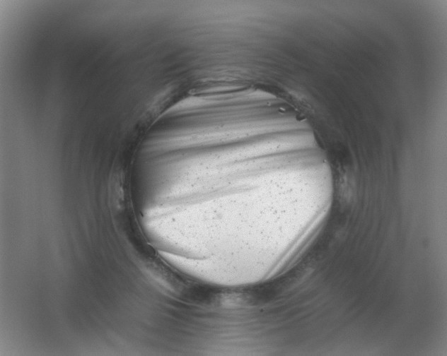 X0000062130264200512231446