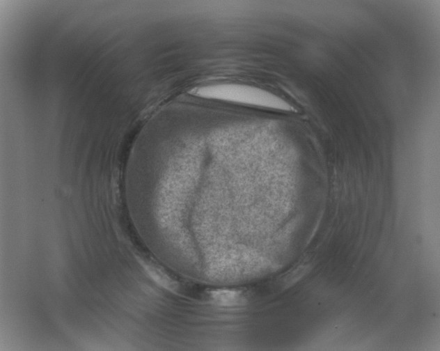 X0000062130265200512231446