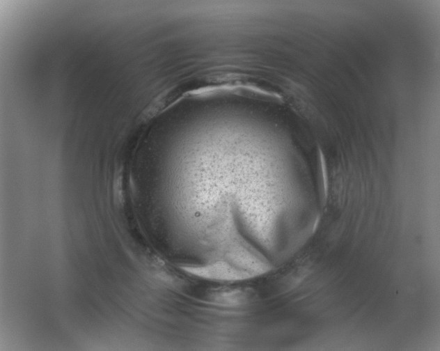 X0000062130267200512231446