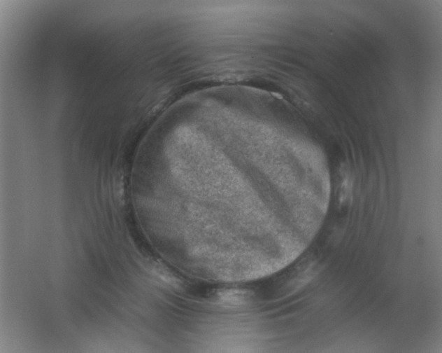 X0000062130268200512231446