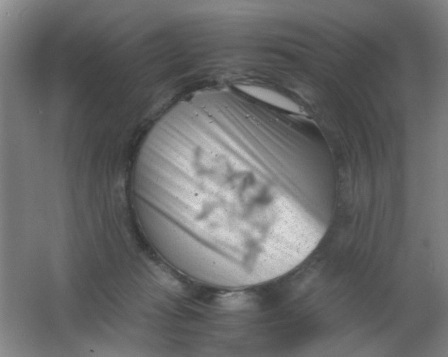 X0000062130269200512231446