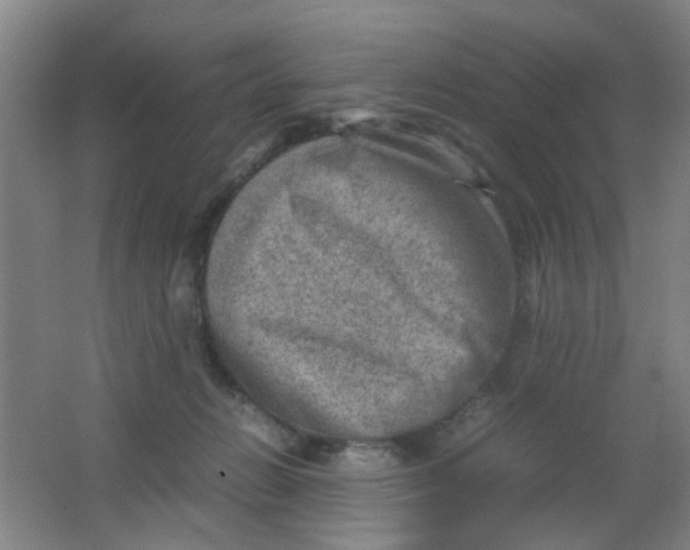 X0000062130270200512231446