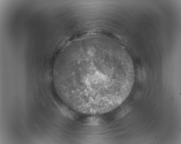 X0000062130272200512231446