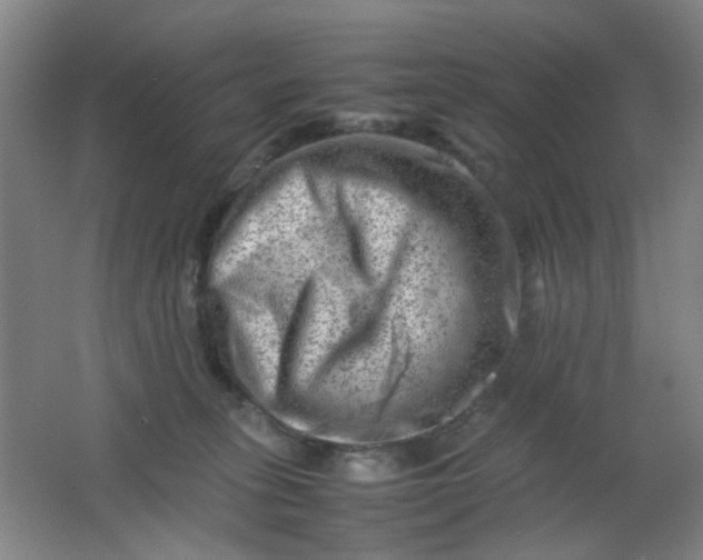 X0000062130275200512231446