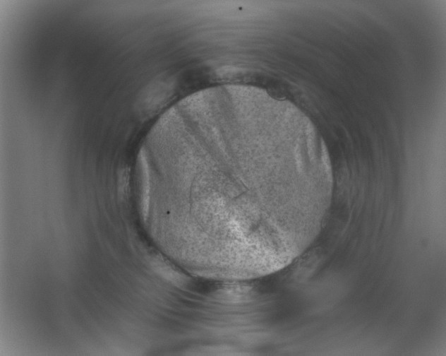 X0000062130278200512231446