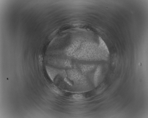 X0000062130279200512231446