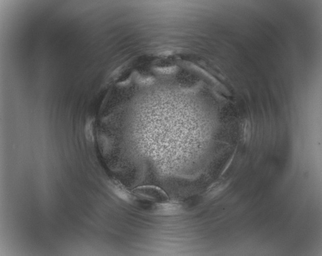 X0000062130286200512231446