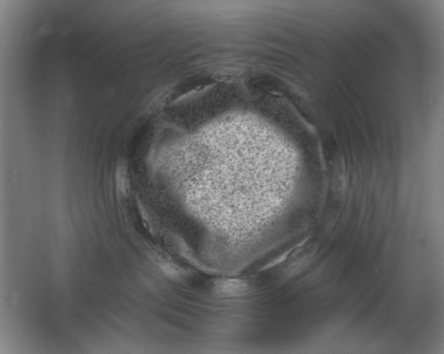 X0000062130287200512231446