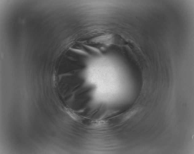 X0000062130288200512231446