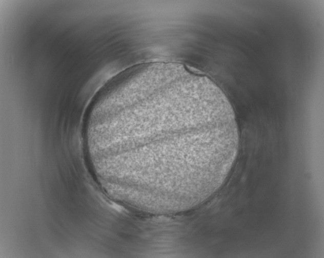 X0000062130290200512231445