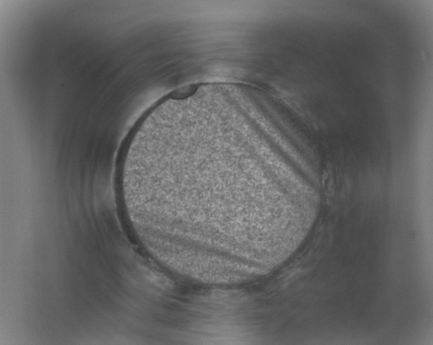 X0000062130292200512231445