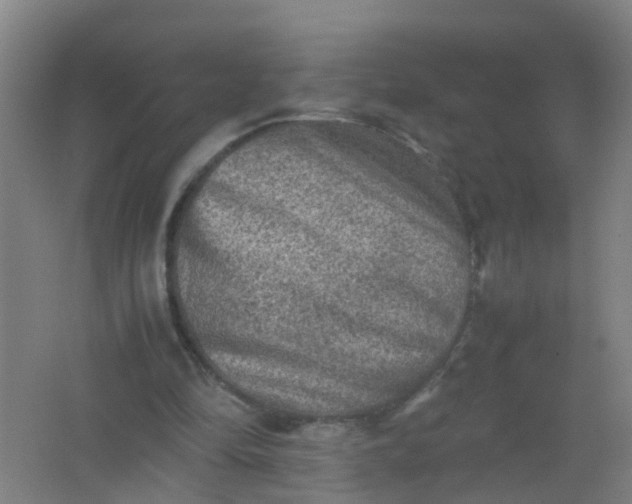 X0000062130294200512231445