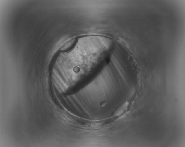 X0000062130295200512231445