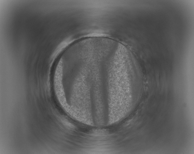 X0000062130296200512231445