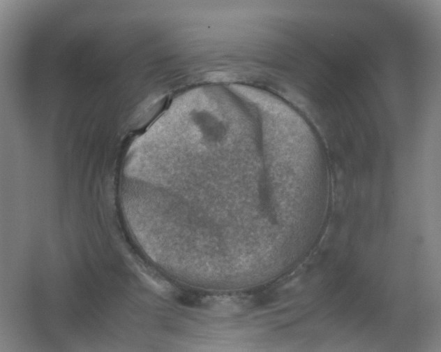 X0000062130297200512231445