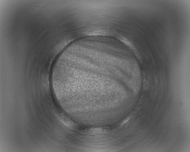 X0000062130298200512231445