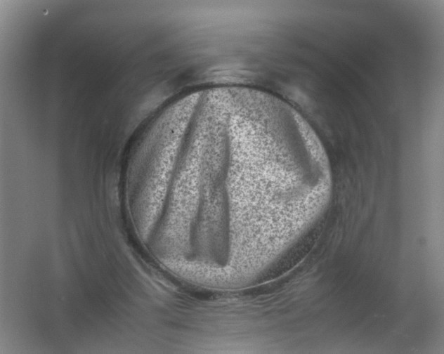 X0000062130299200512231445