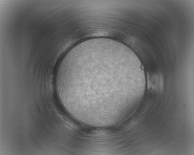 X0000062130300200512231445