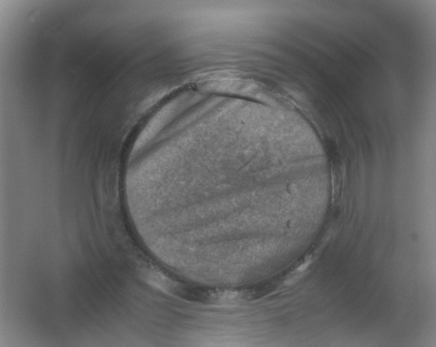 X0000062130301200512231445