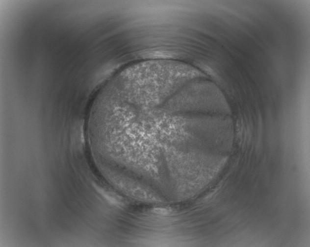 X0000062130302200512231445