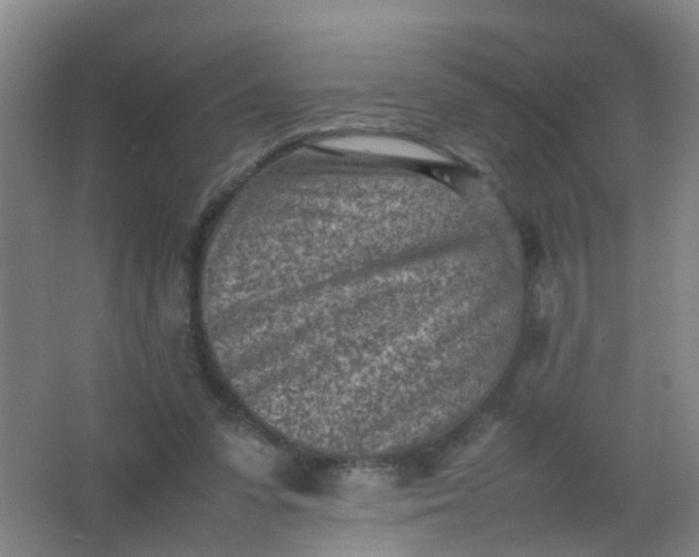 X0000062130303200512231445