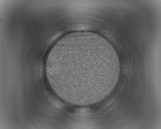 X0000062130304200512231445