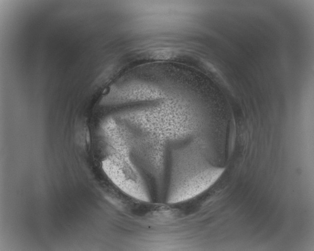 X0000062130307200512231445