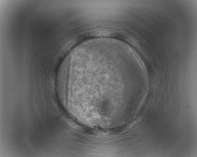 X0000062130309200512231445