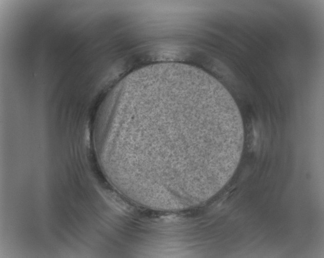 X0000062130310200512231445