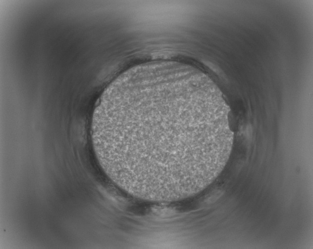 X0000062130311200512231445