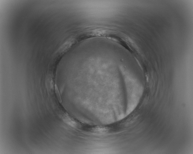 X0000062130313200512231445