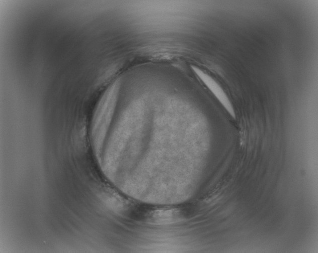 X0000062130314200512231445