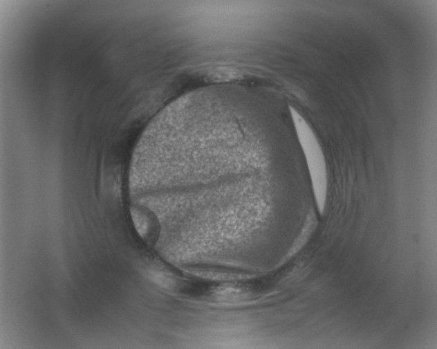 X0000062130315200512231445