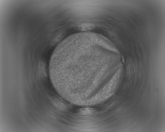 X0000062130316200512231445