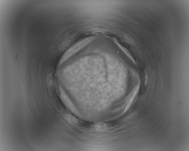 X0000062130317200512231445