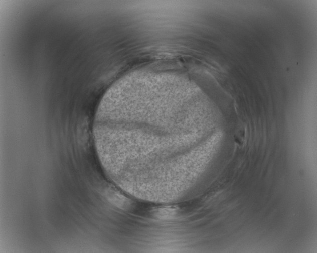 X0000062130318200512231445