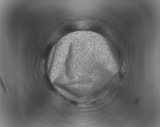 X0000062130319200512231445