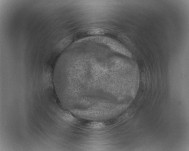 X0000062130322200512231445