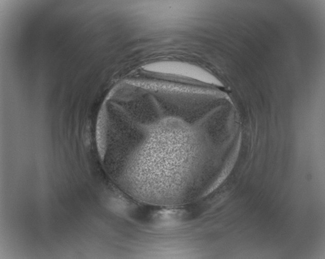 X0000062130323200512231445