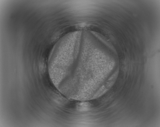 X0000062130324200512231445