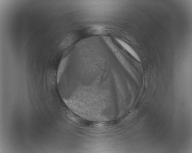 X0000062130325200512231445