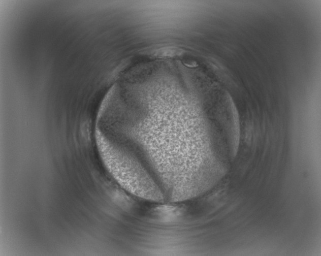 X0000062130326200512231445