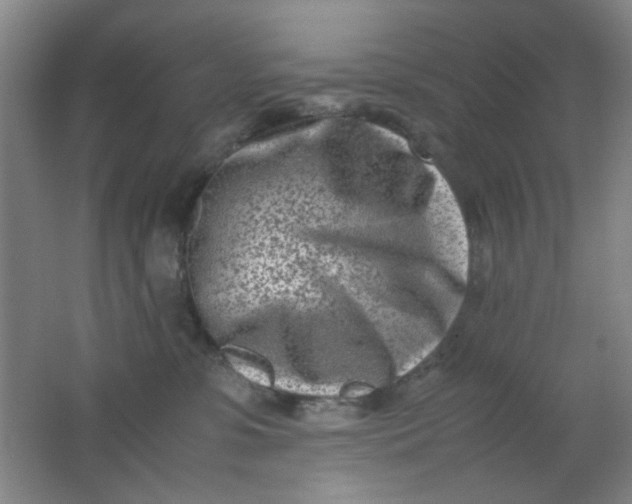 X0000062130331200512231445