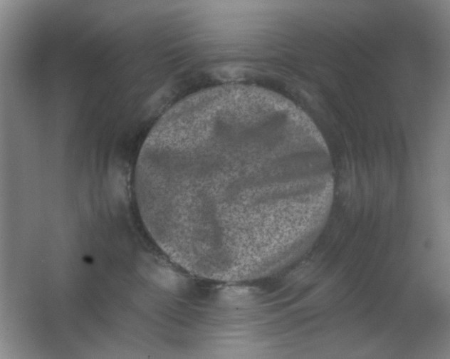 X0000062130332200512231445